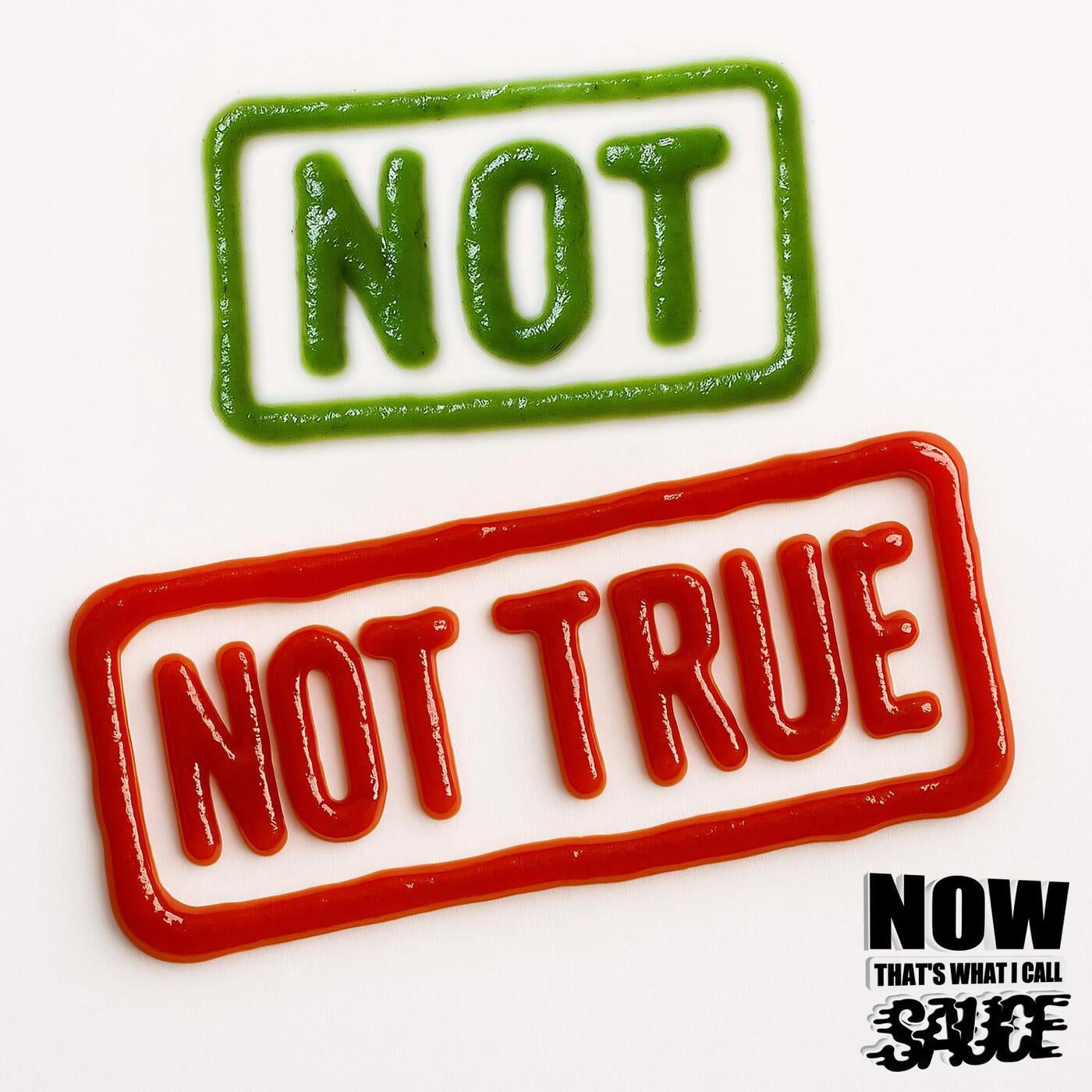Cover art for Not Not True (Zero T Remix)