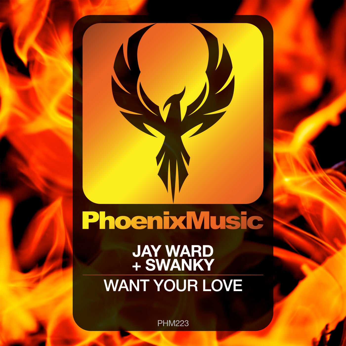 Want Your Love