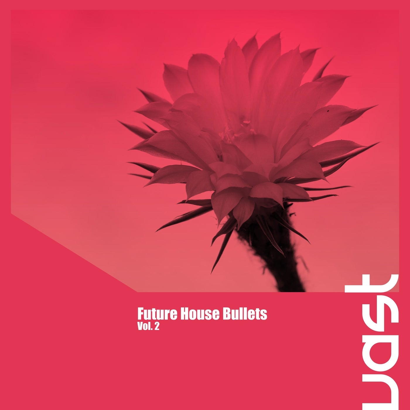 Future House Bullets, Vol. 2