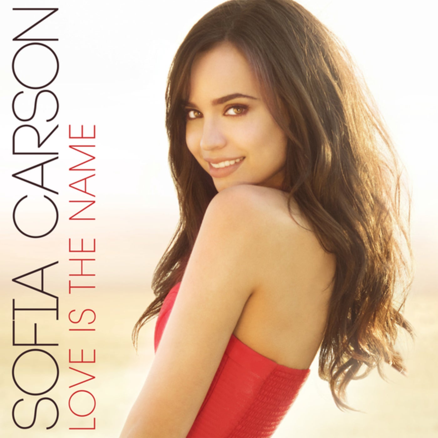 Cover art for Love Is the Name
