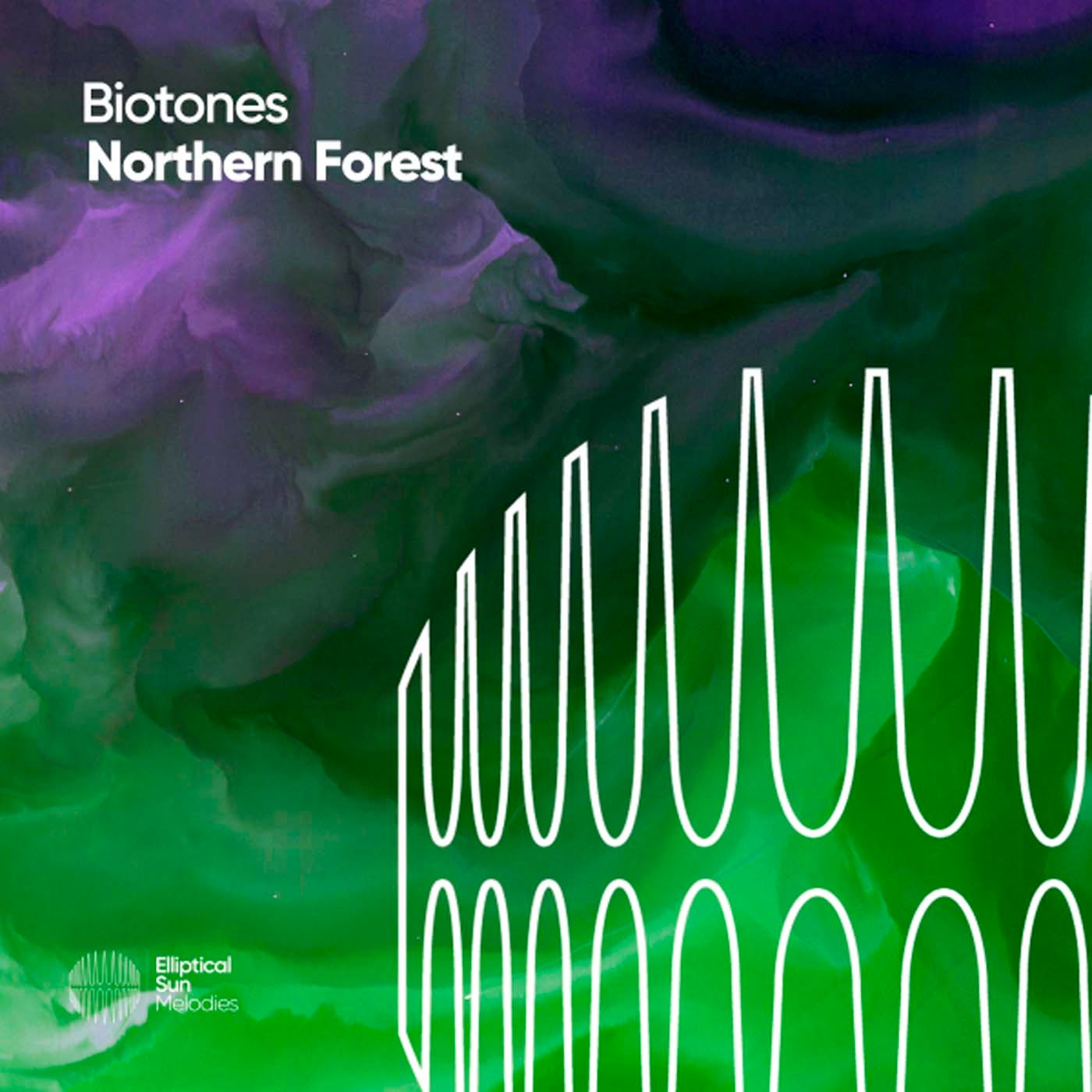 Northern Forest