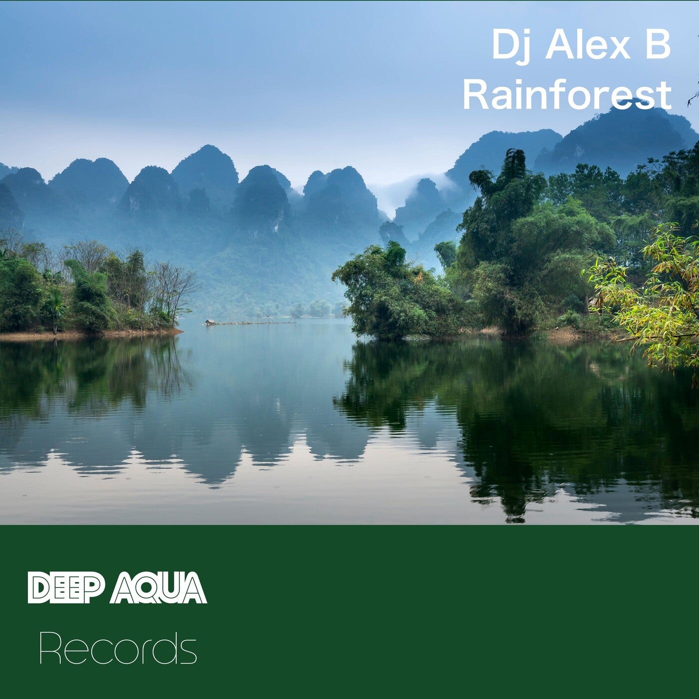 Rainforest