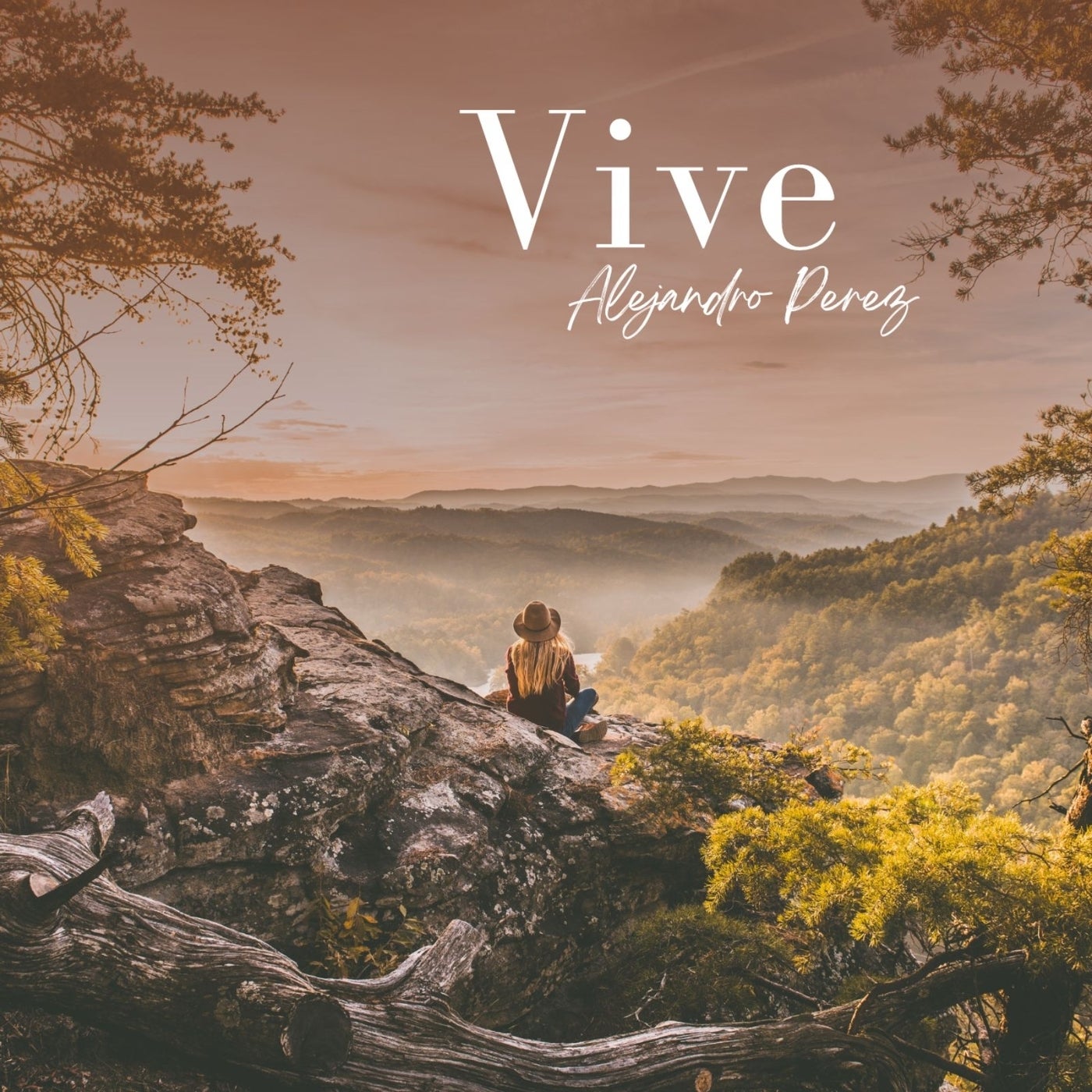 Vive (Radio Edit)