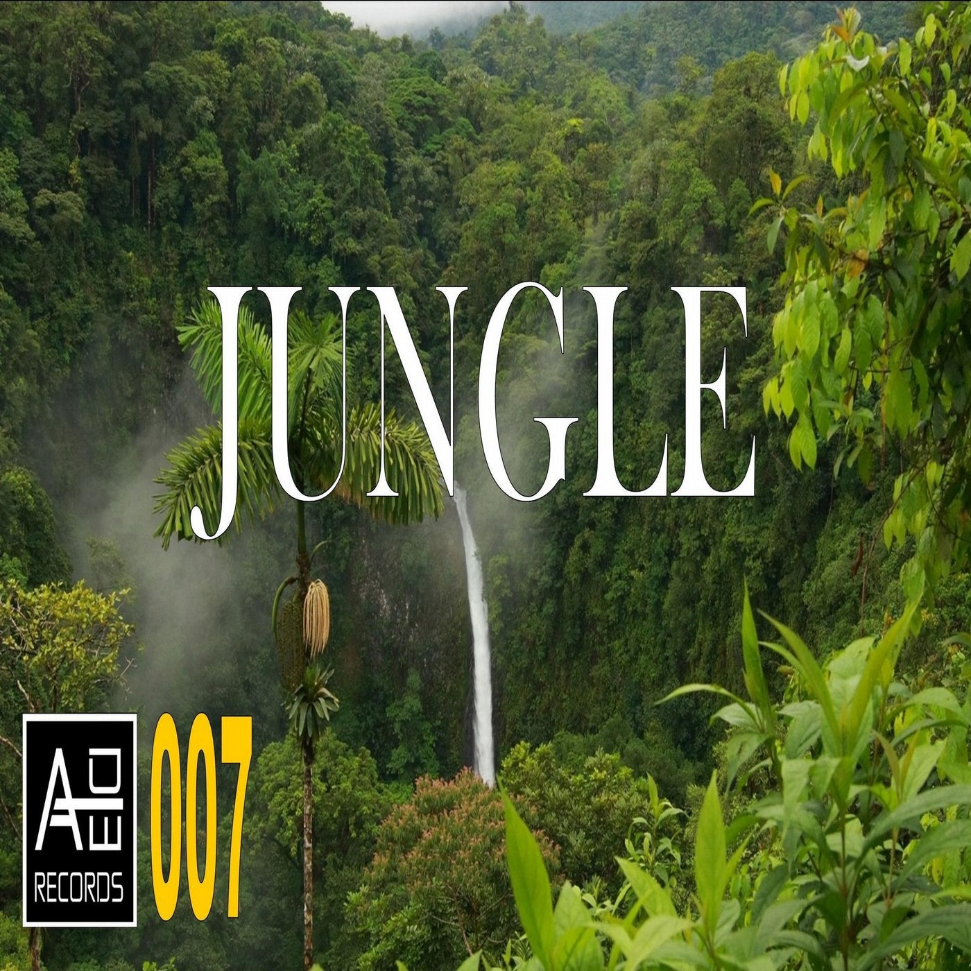 Jungle песня перевод. Jungle исполнитель. Джангл п. Песни про джунгли. Jungle слушать.