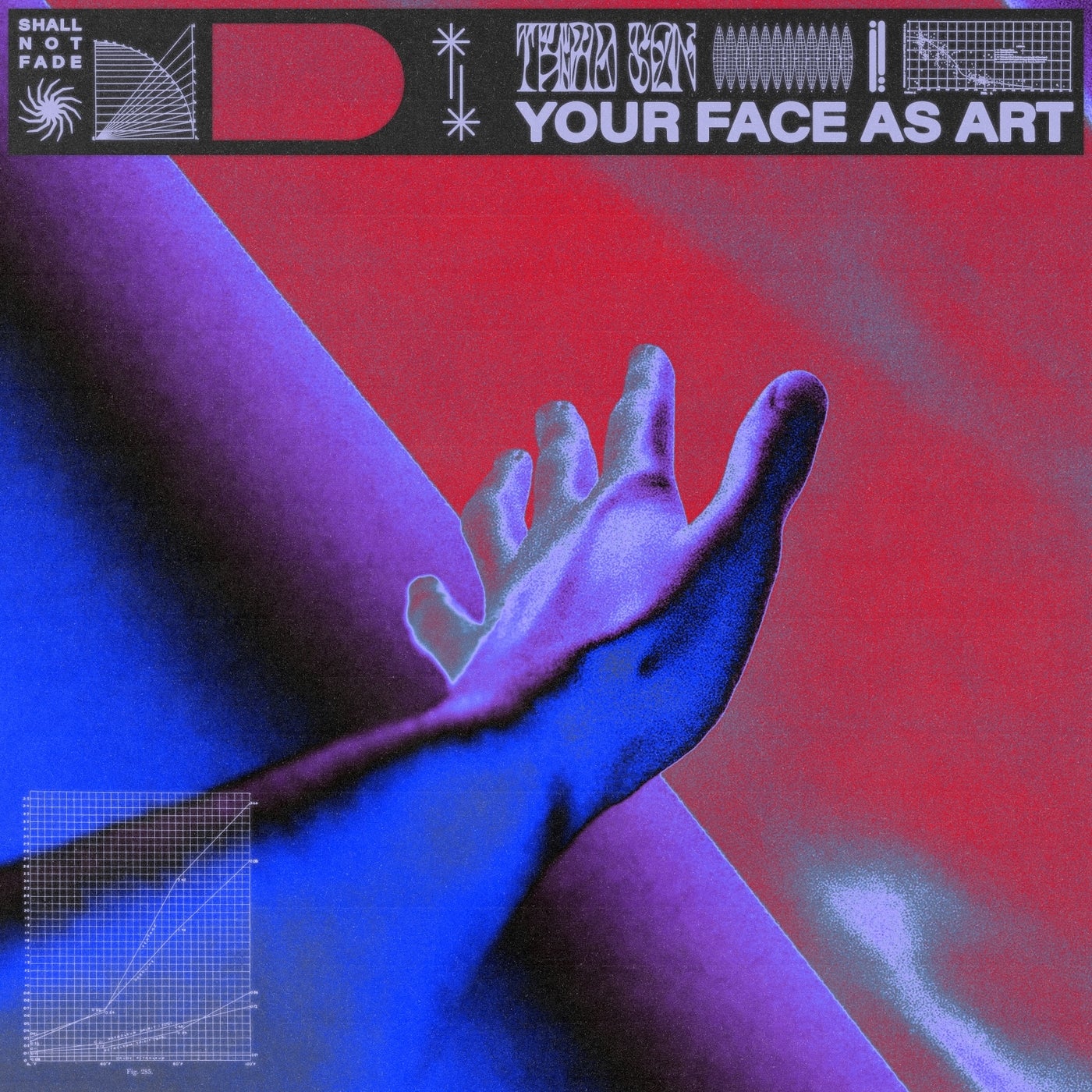 Your Face as Art