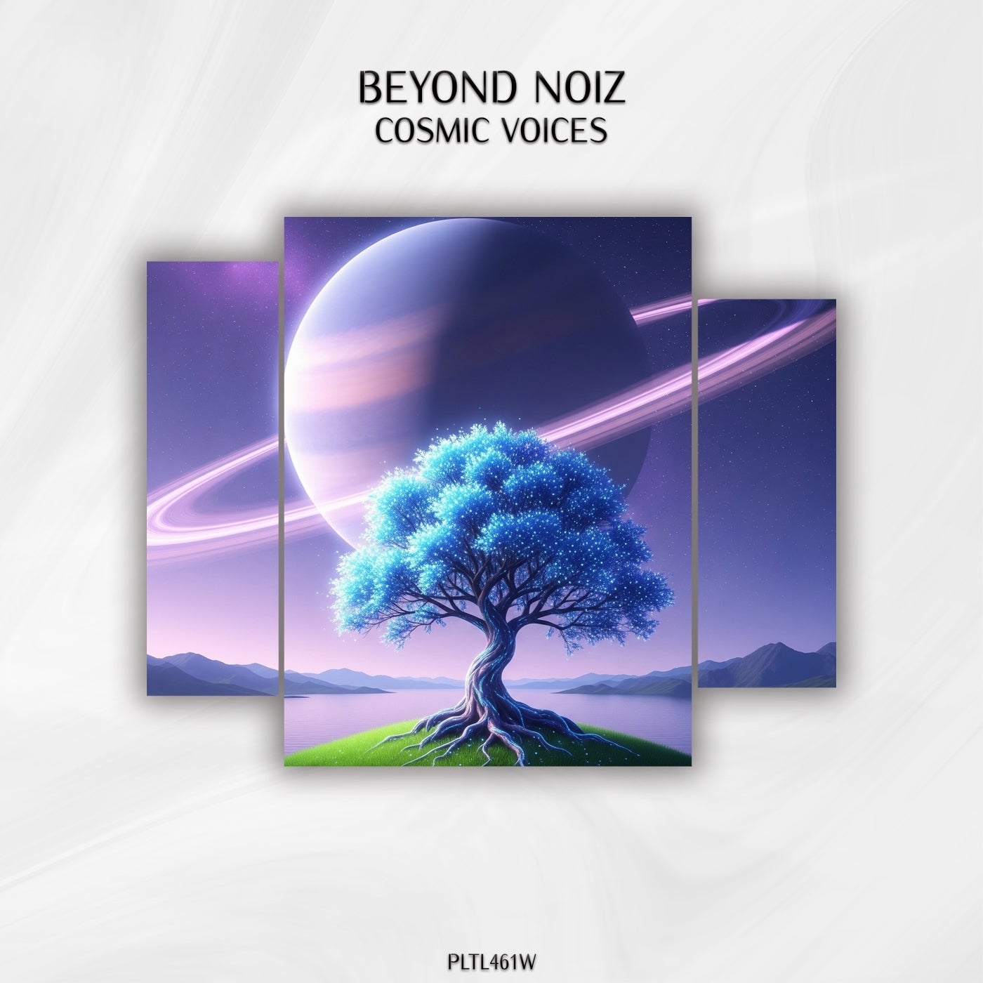 Cosmic Voices