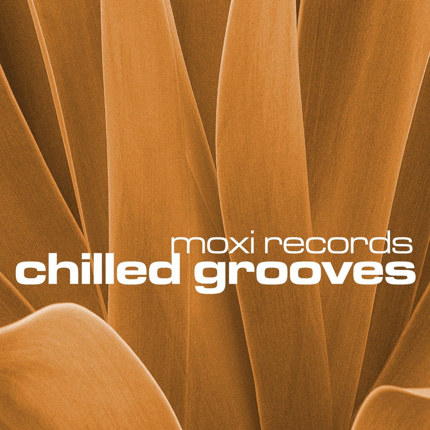 Chilled Grooves Vol 2