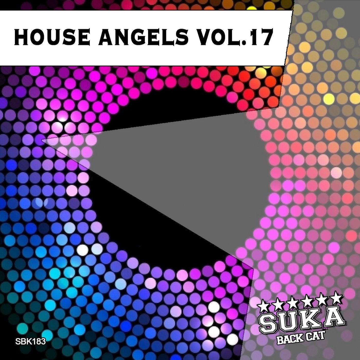 House Angels, Vol. 17