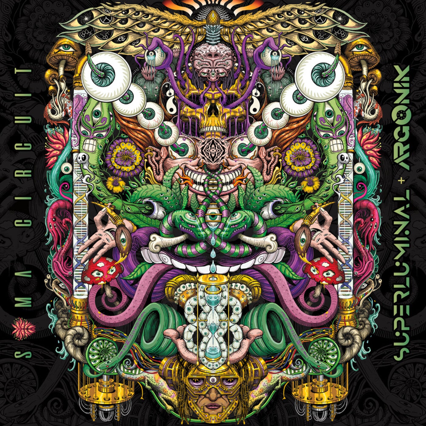 Soma Circuit