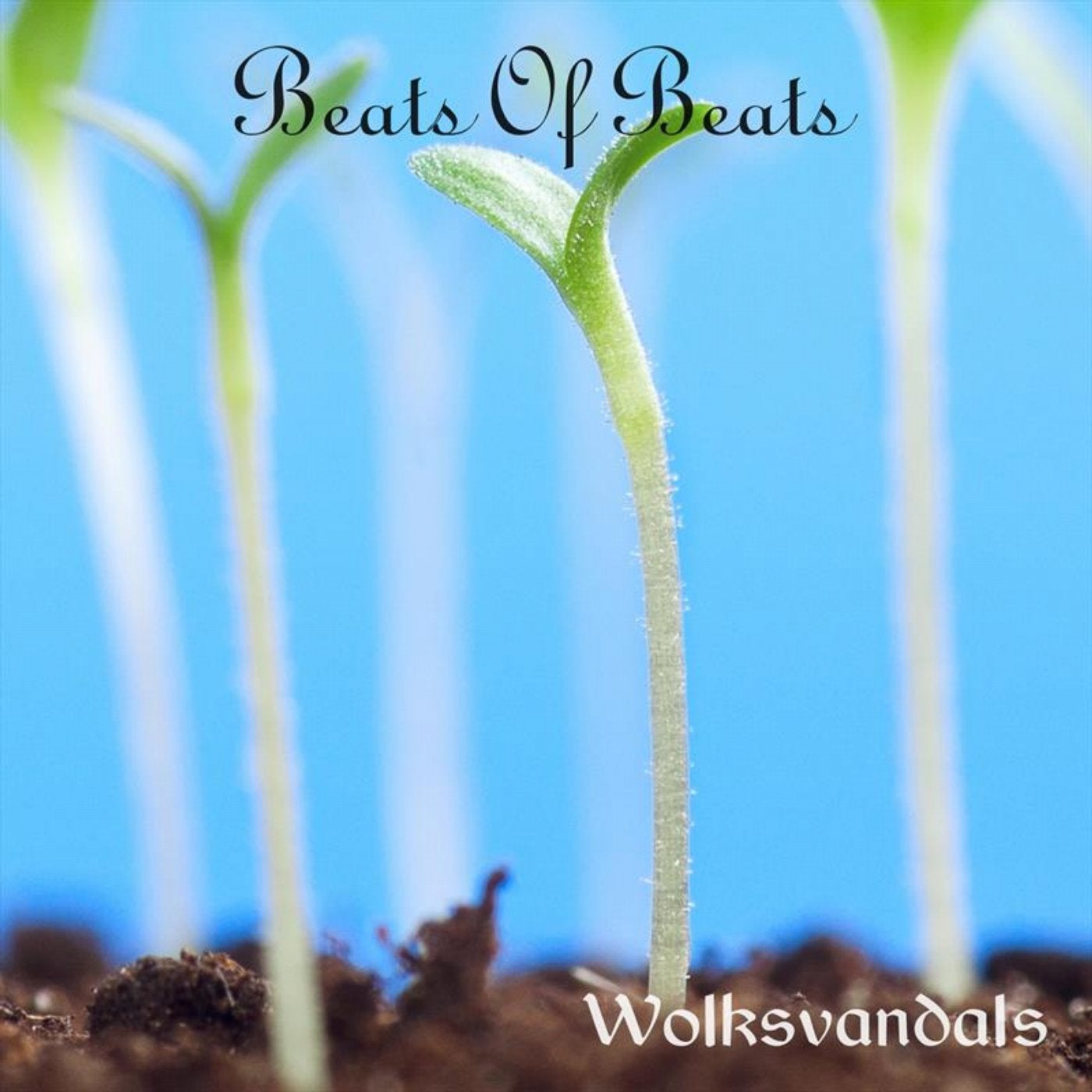 Beats Of Beats
