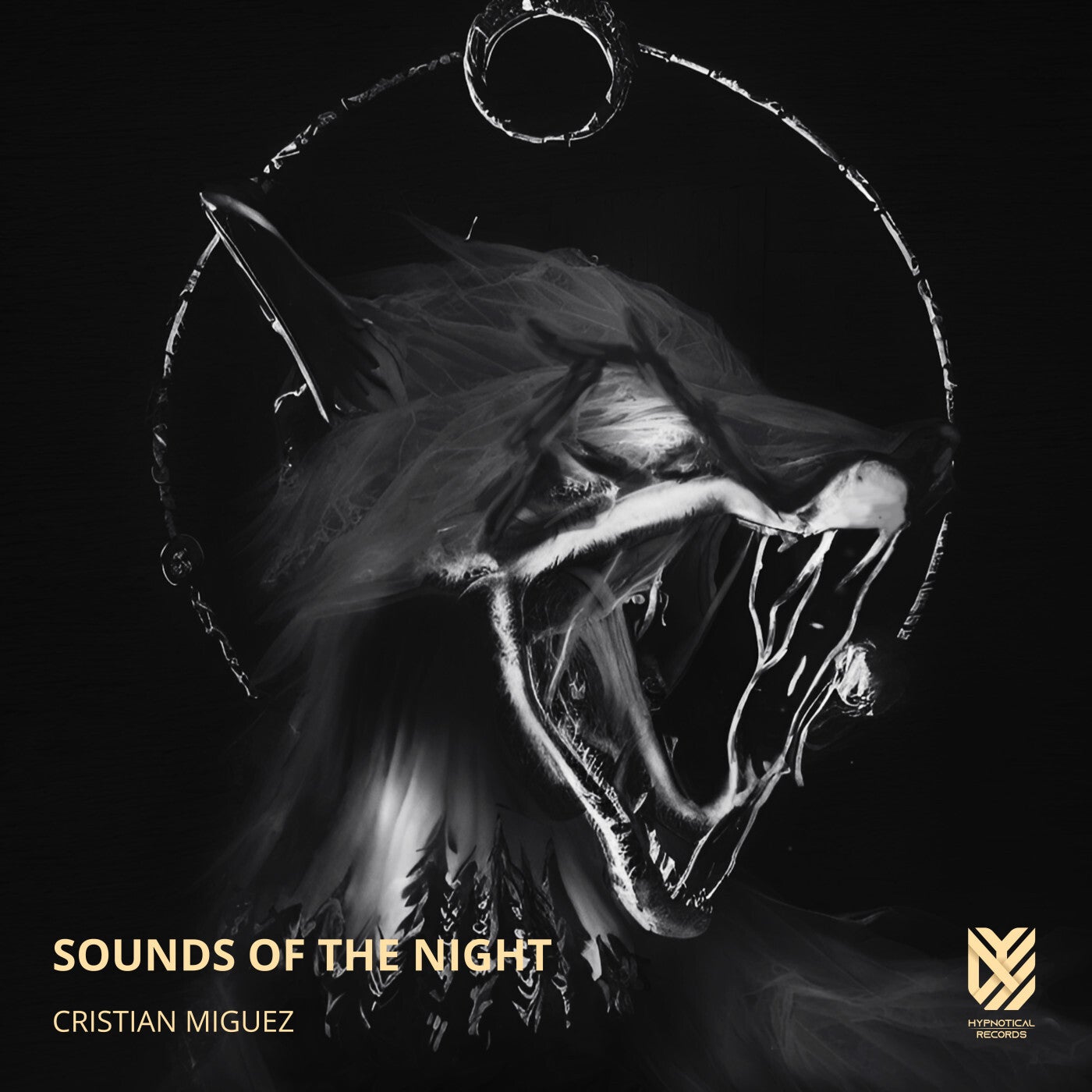 Sounds of the Night