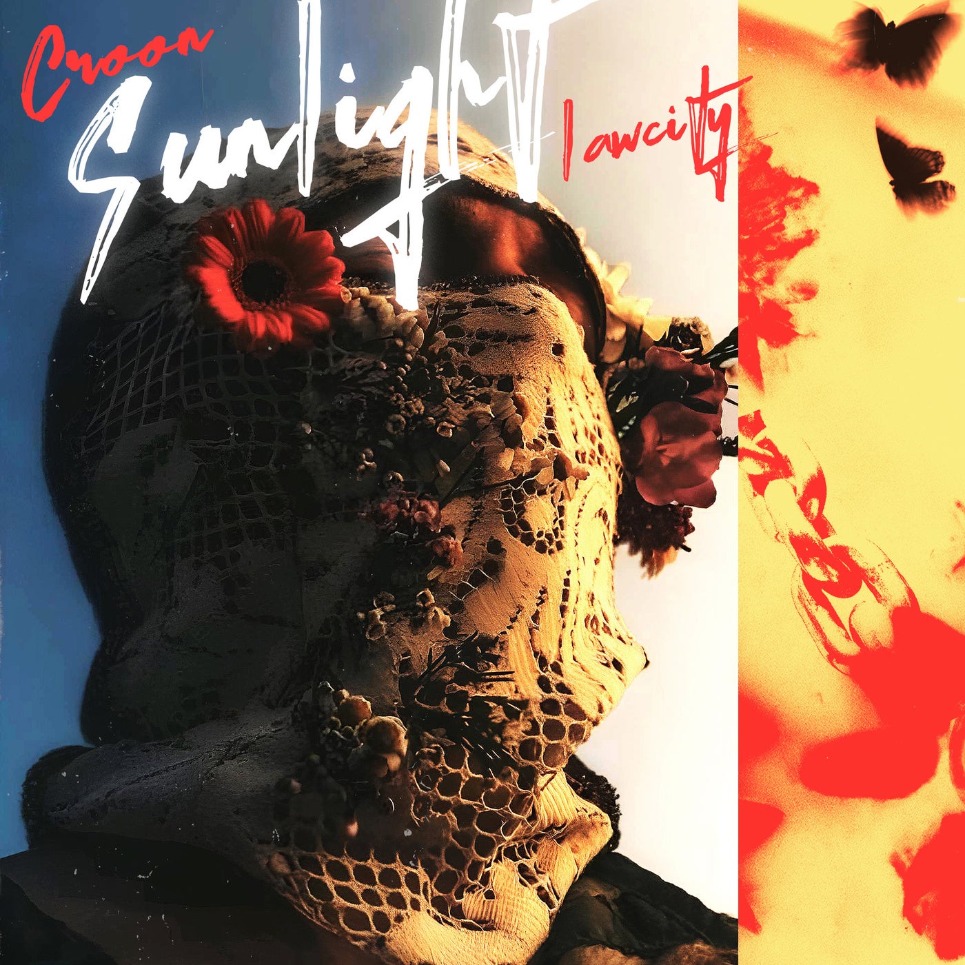 Sunlight