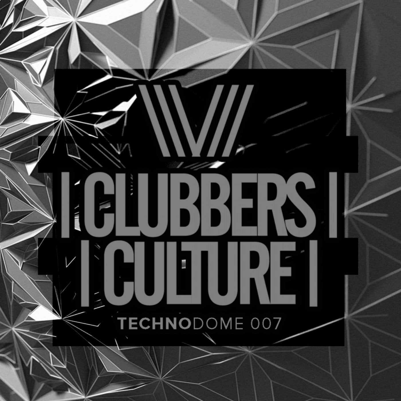 Clubbers Culture: Technodome 007