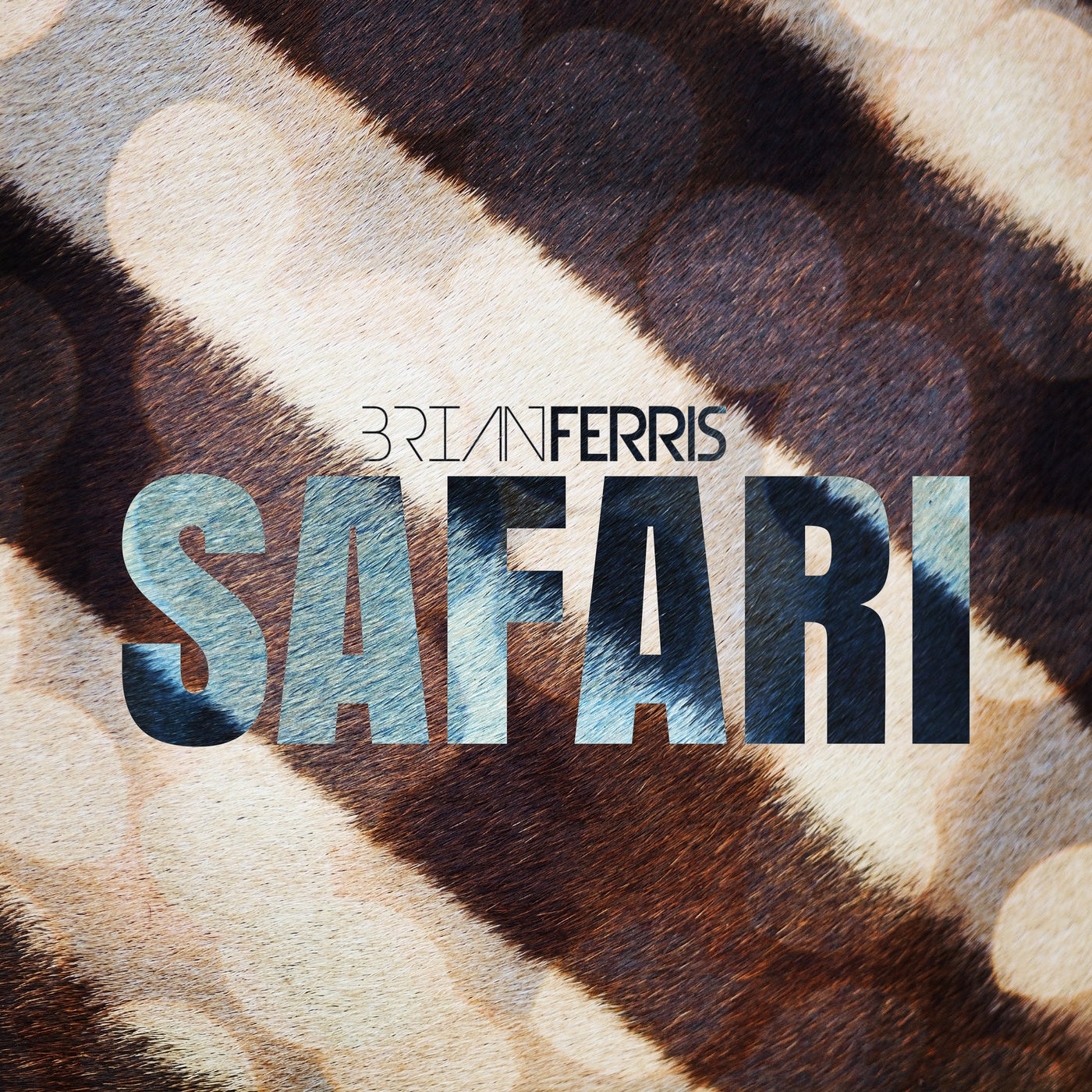 Safari