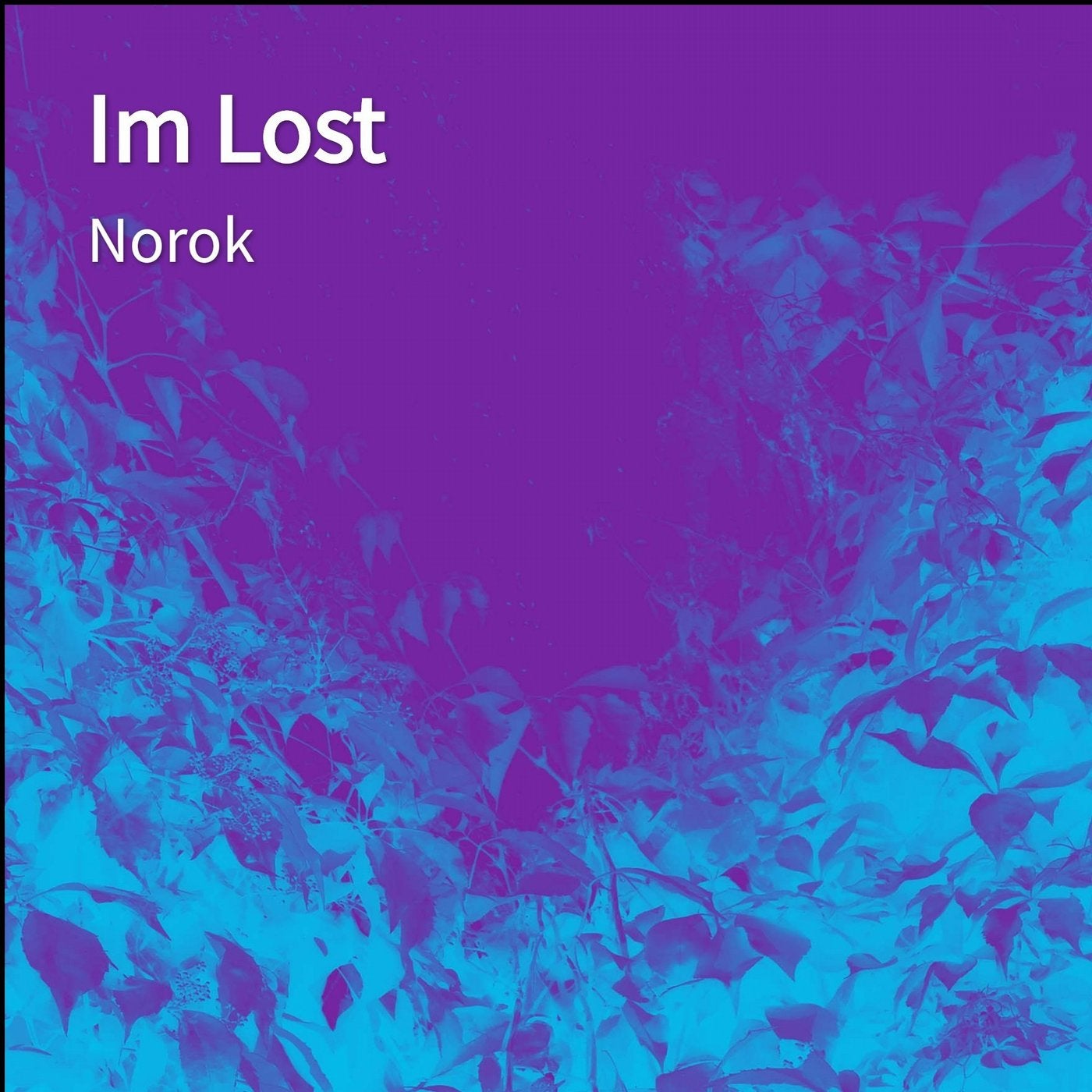 Im Lost