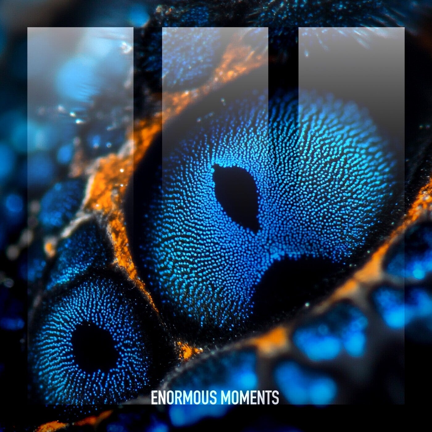 www.beatport.com