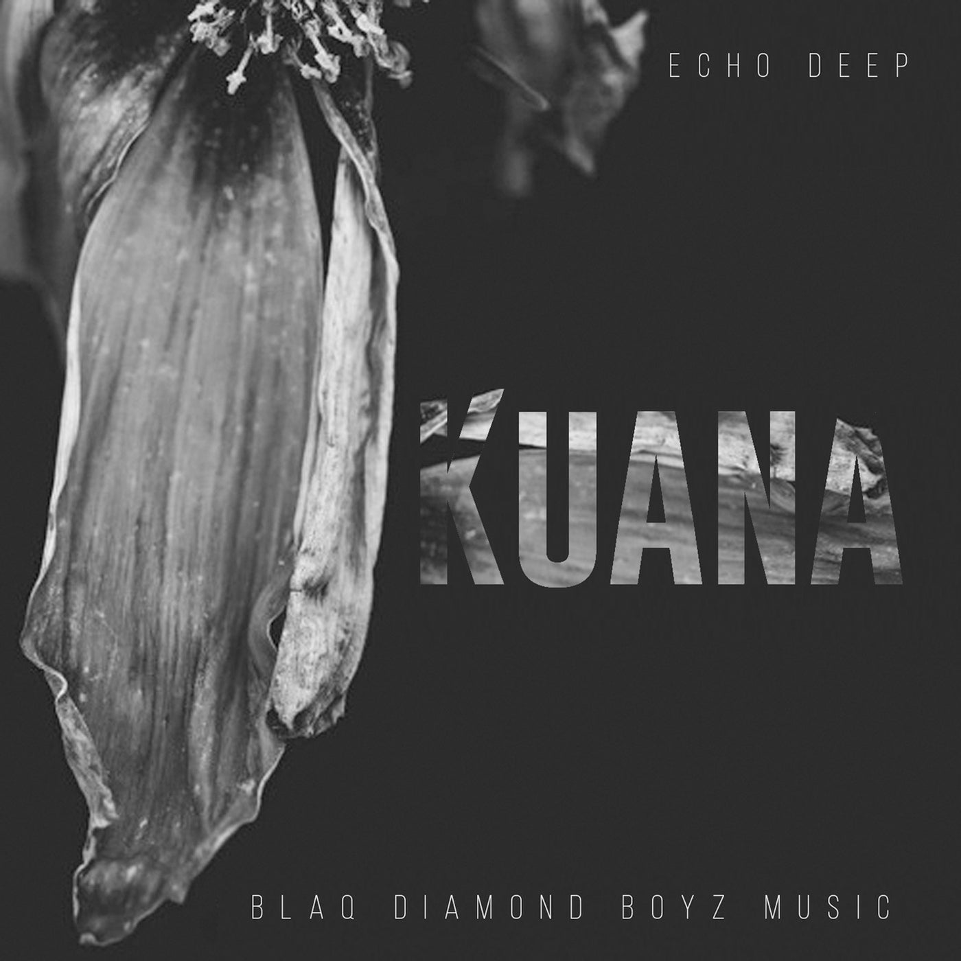 Kuana (Original Mix)