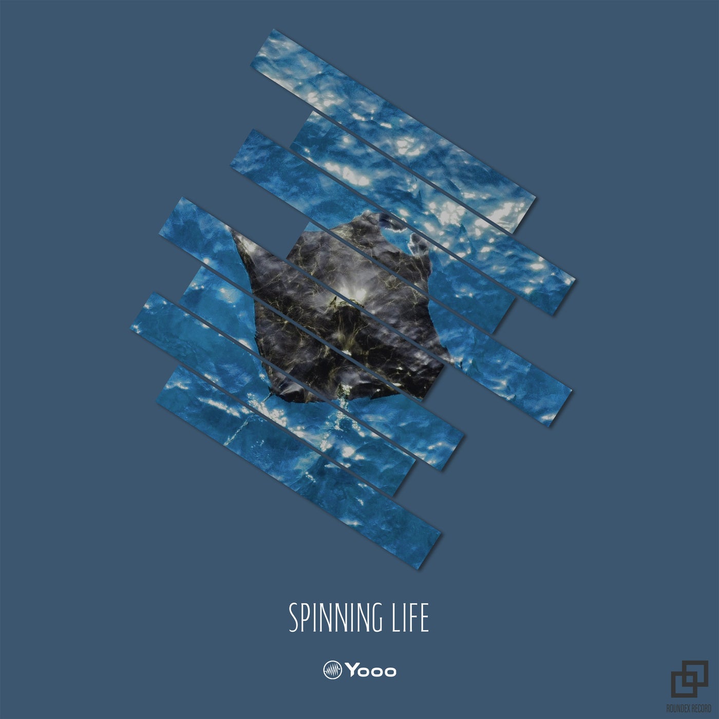 Spinning Life