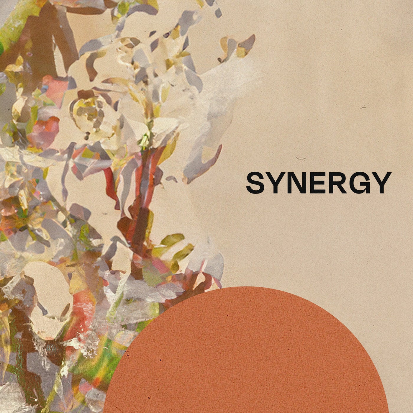 Synergy