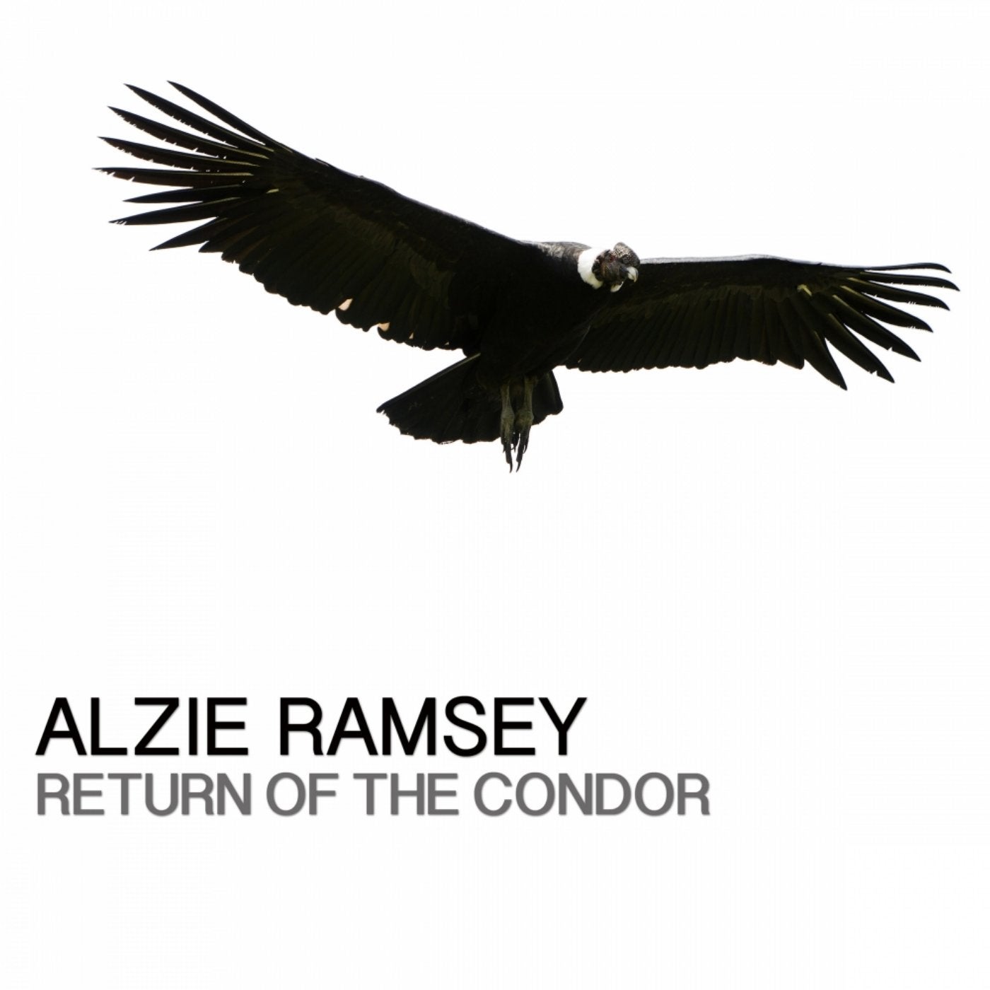 Return Of The Condor (2015 Mix)