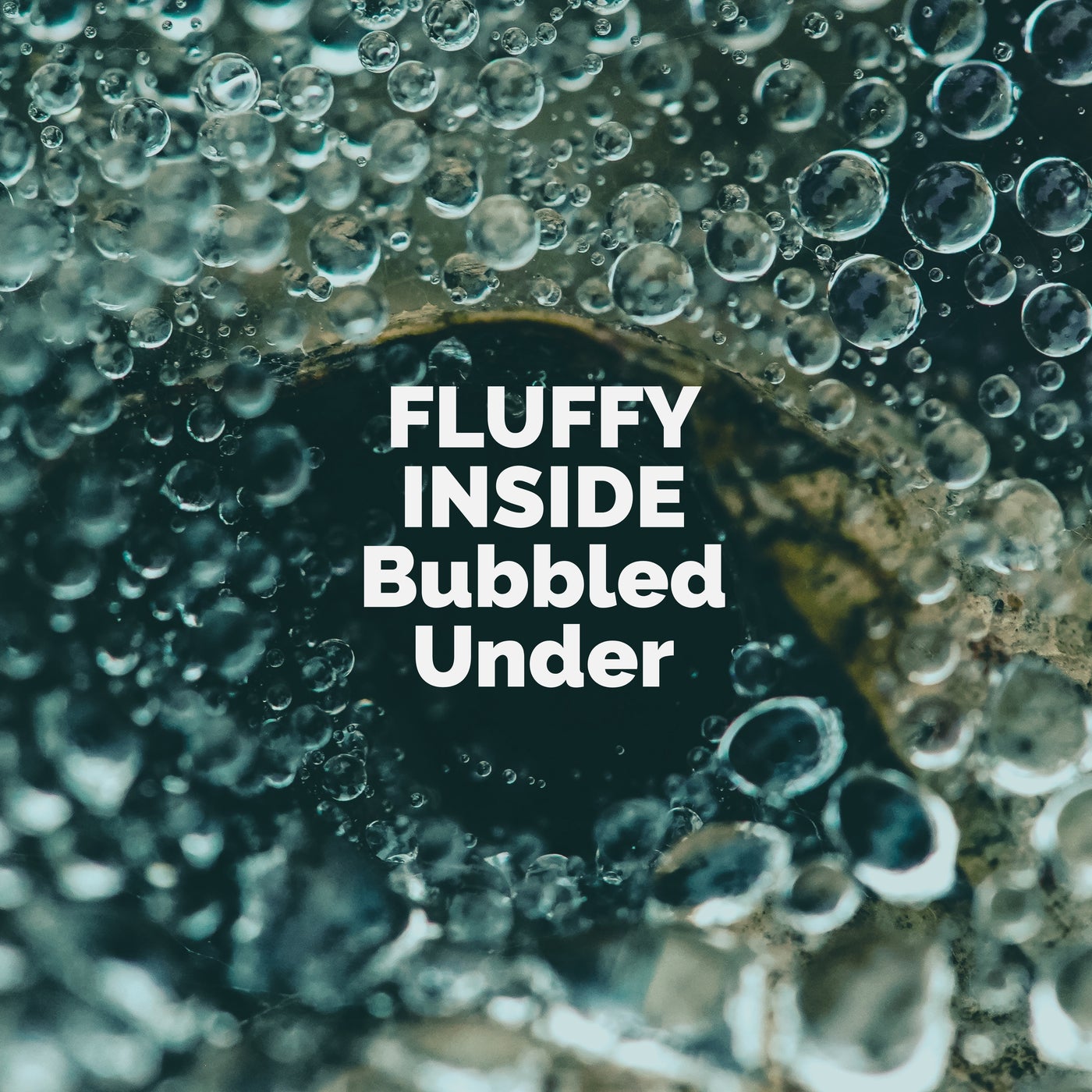 Bubbled Under
