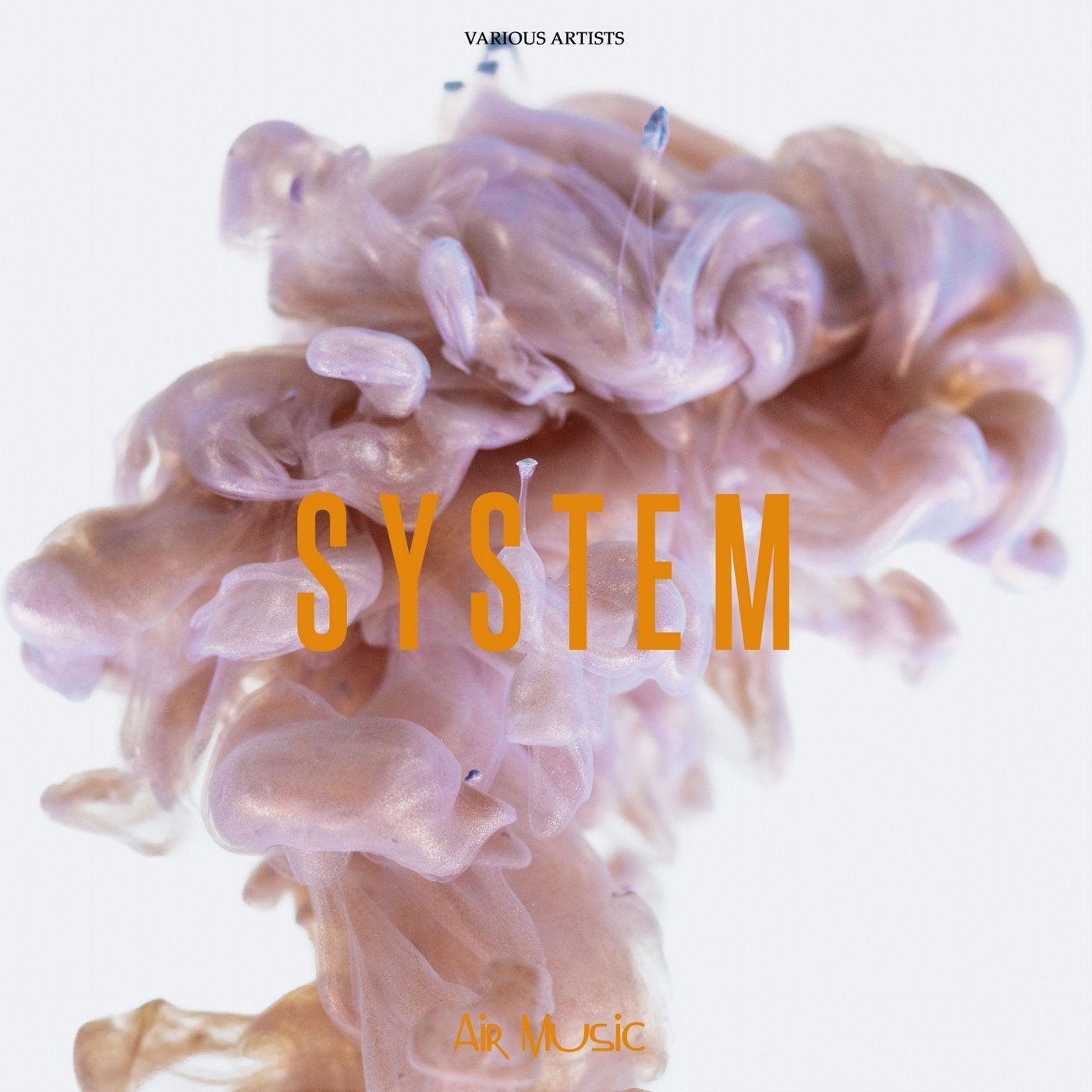 System