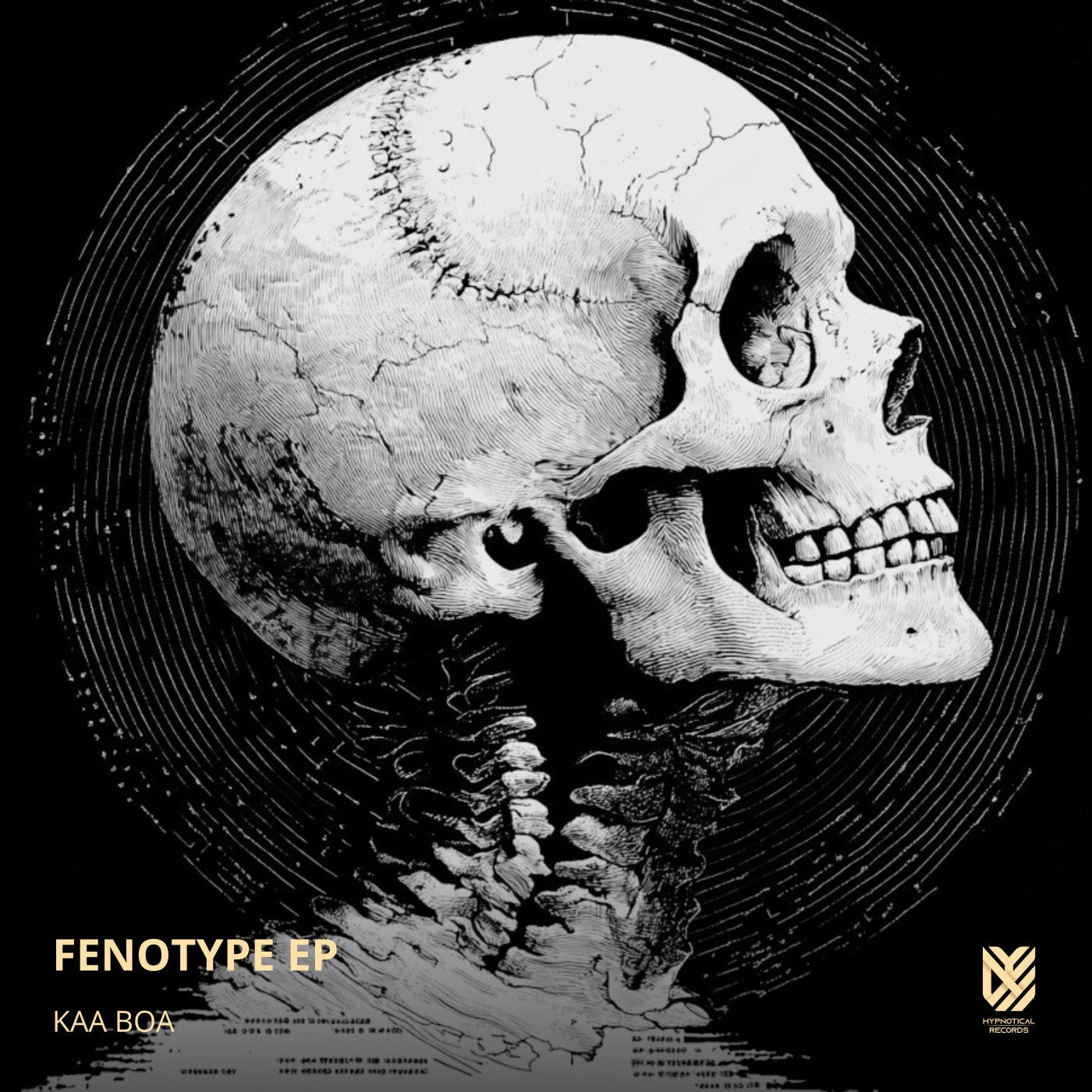 FENOTYPE EP