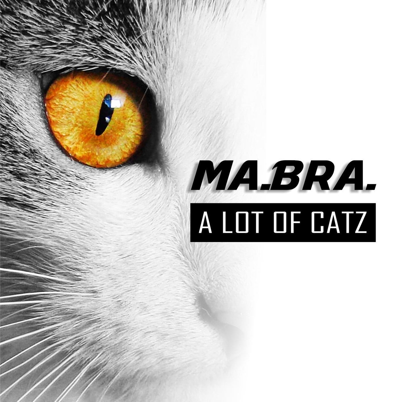 A Lot of Catz (Remix)