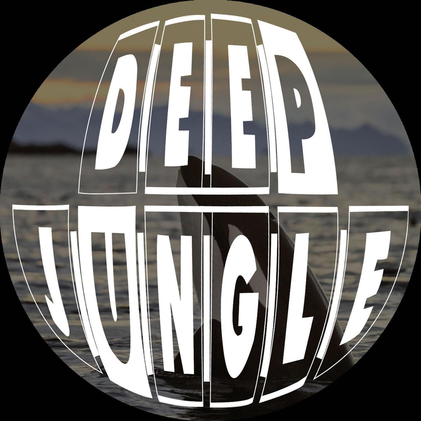 Dancing With Dolphins Vol. 2