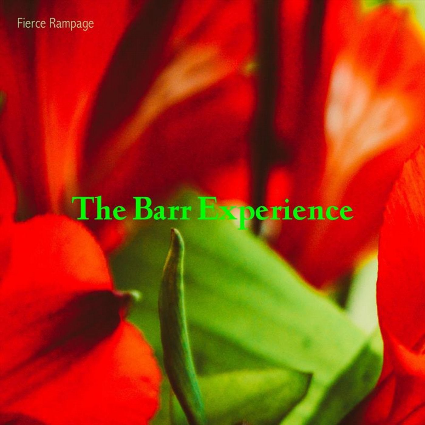 The Barr Experience