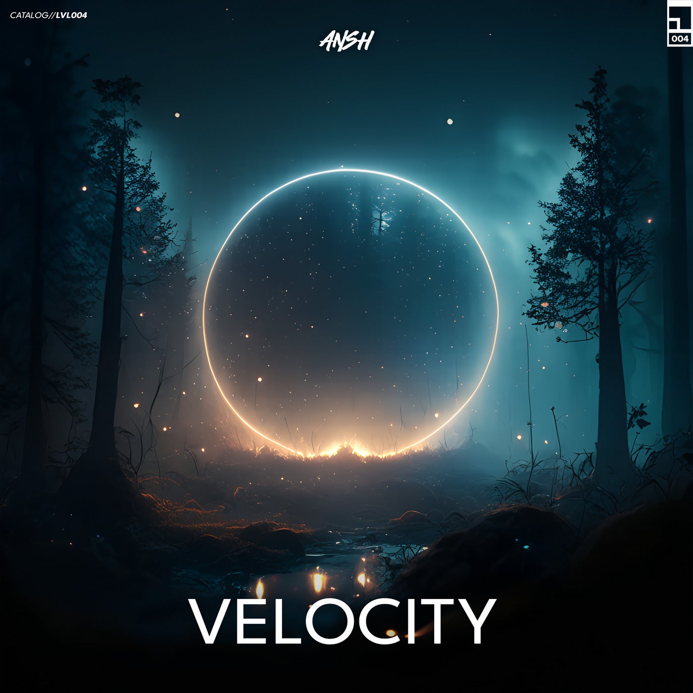 Velocity