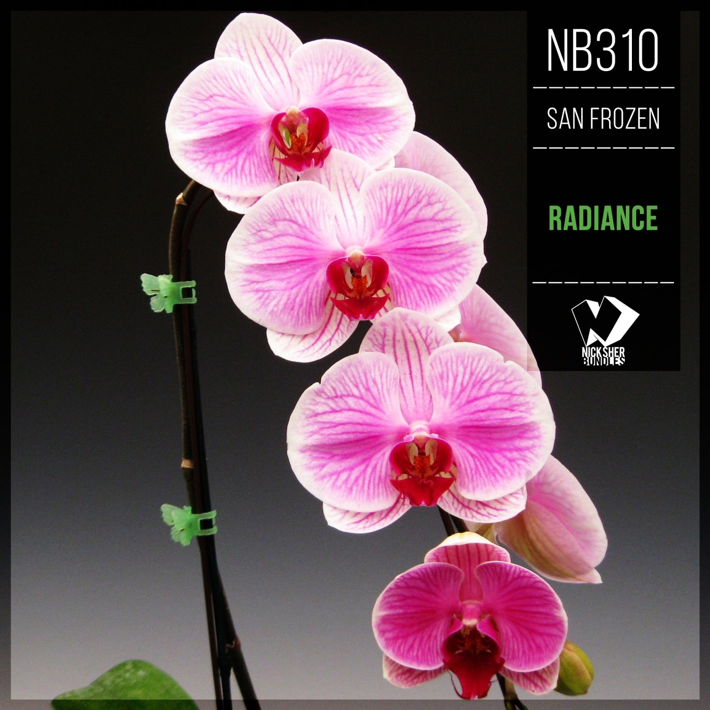 Radiance