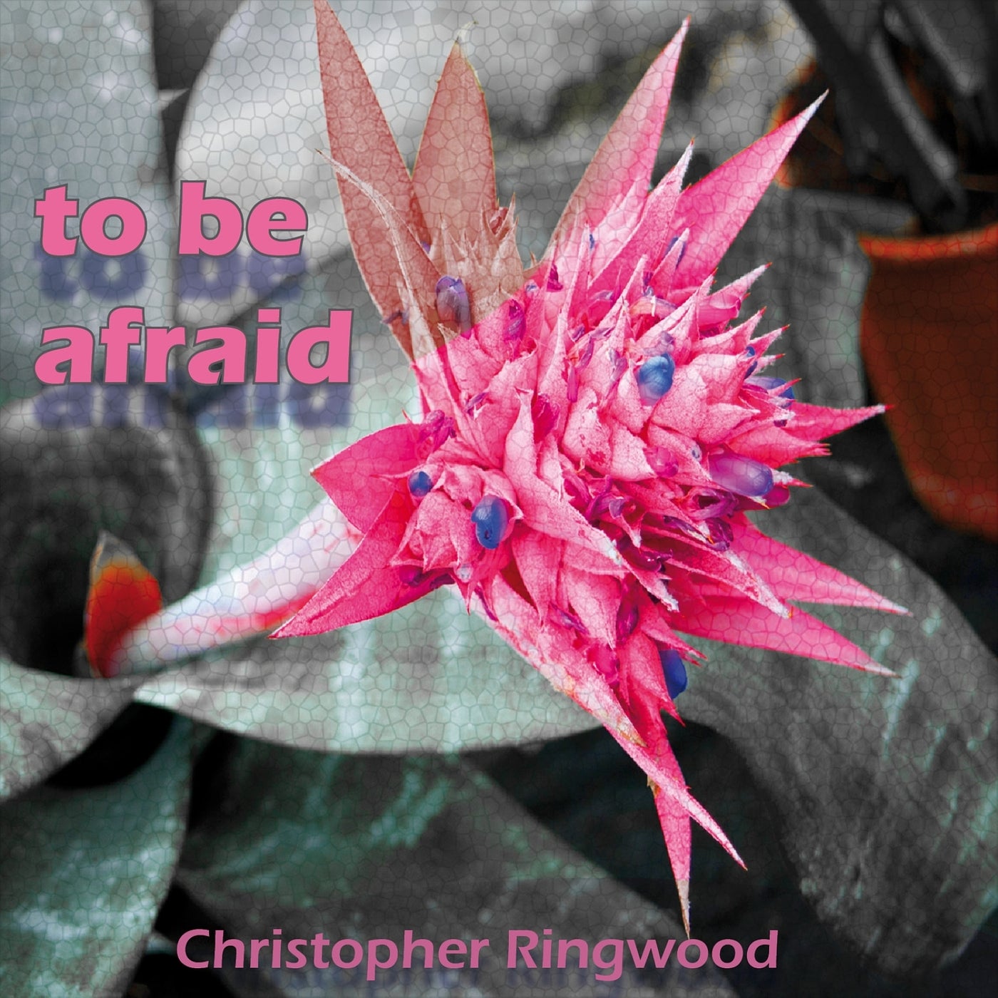 To Be Afraid