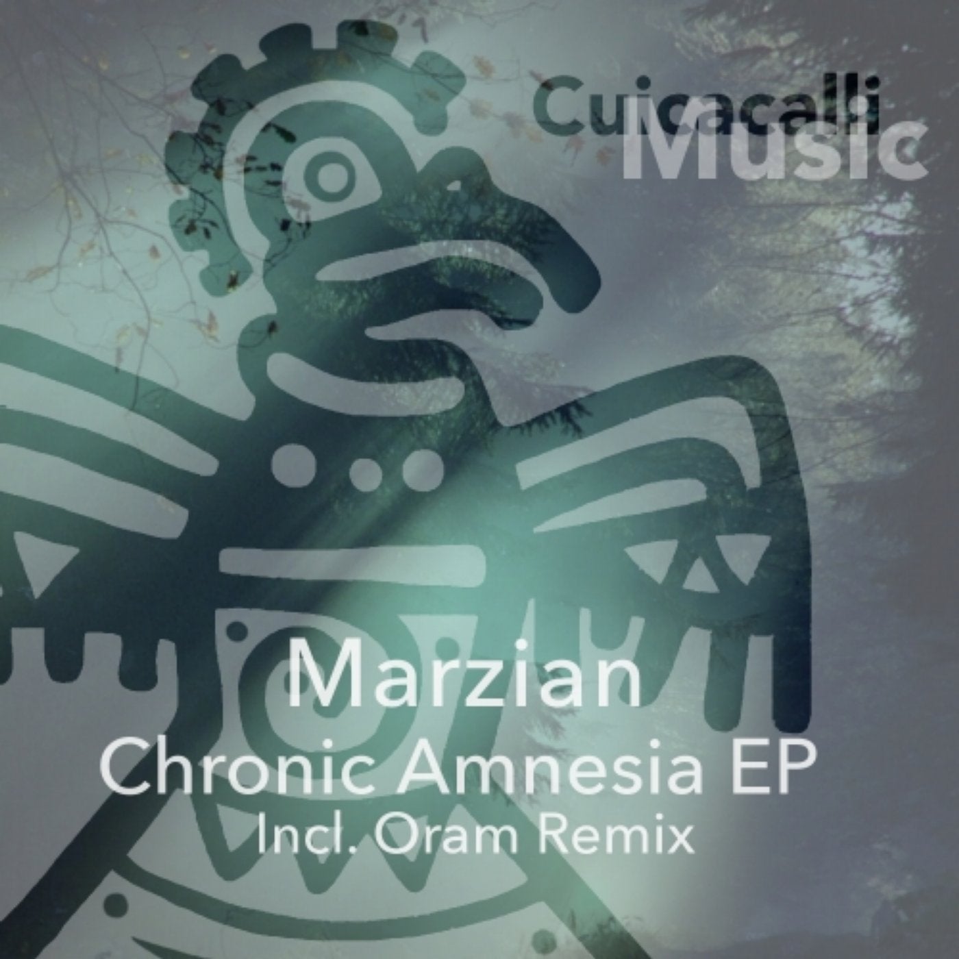 Chronic Amnesia EP