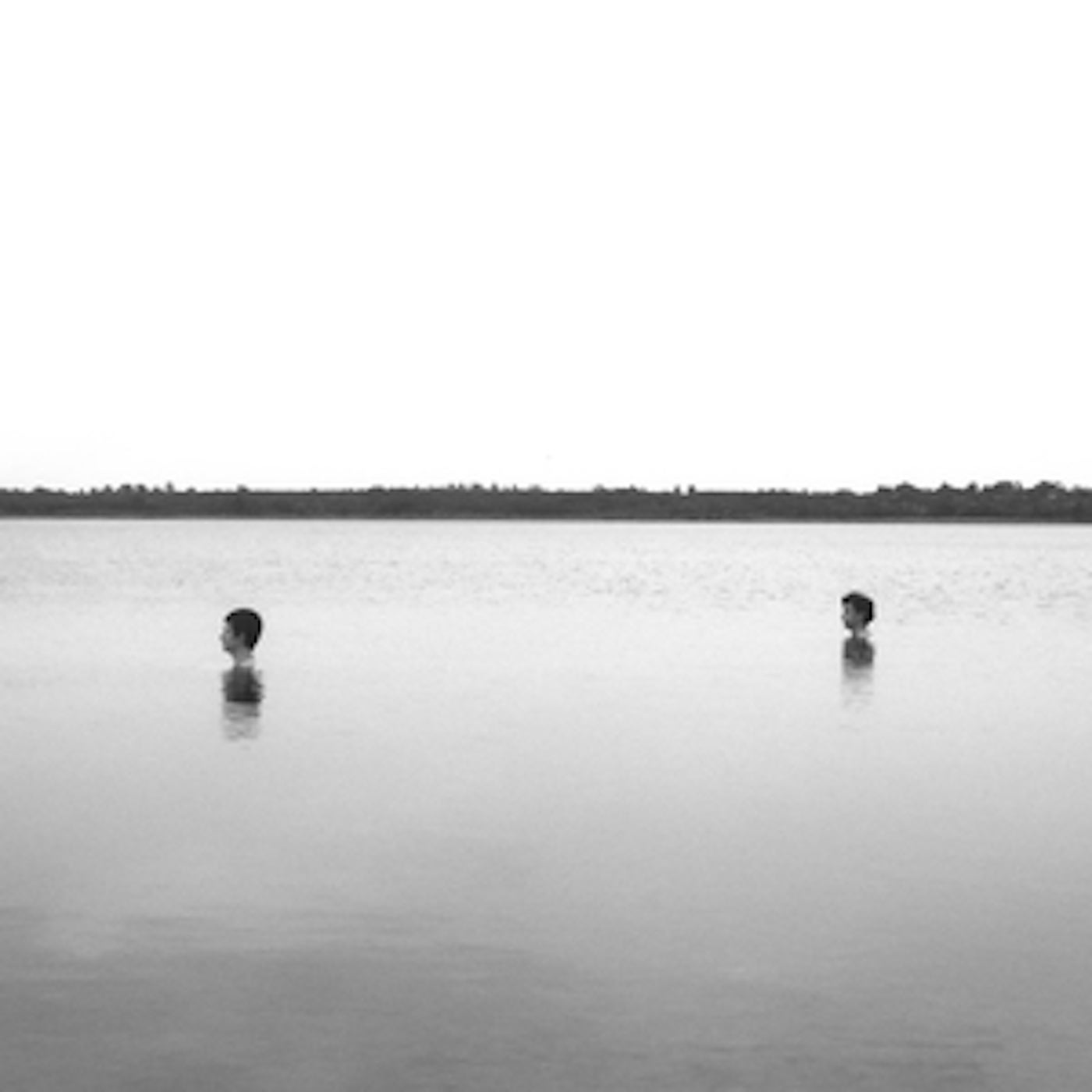 A Forest Wakes