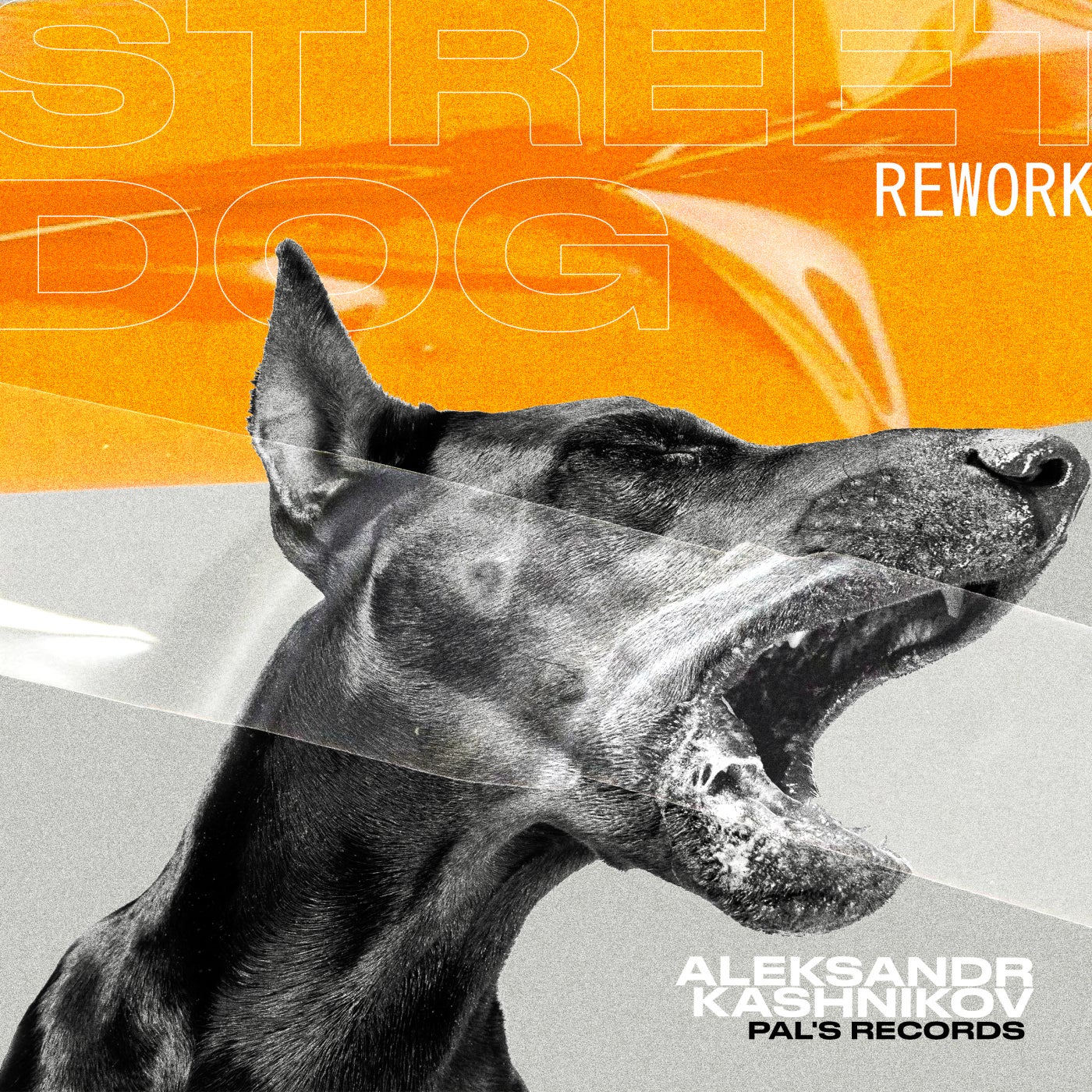 Street Dog (Rework Mix)