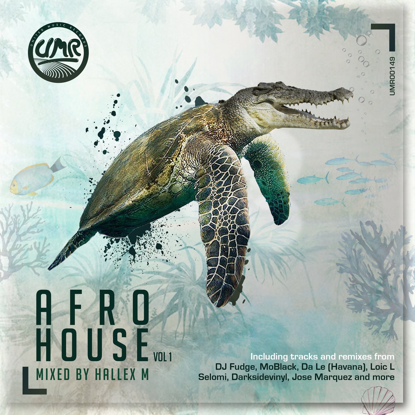 AFRO HOUSE Vol 1