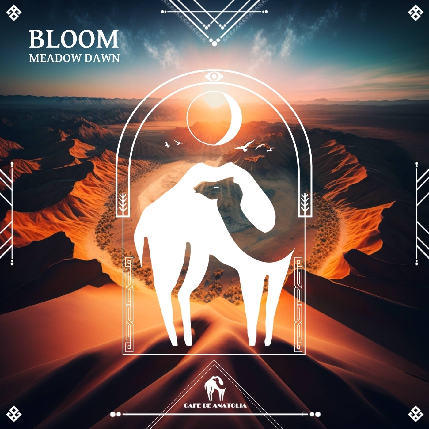 Bloom