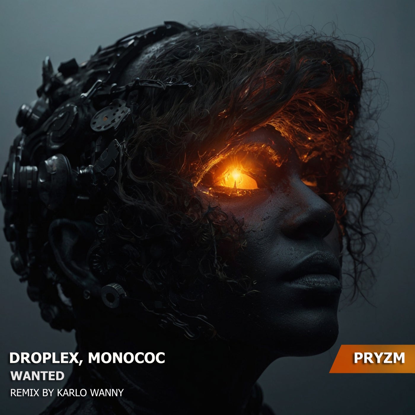 Wanted