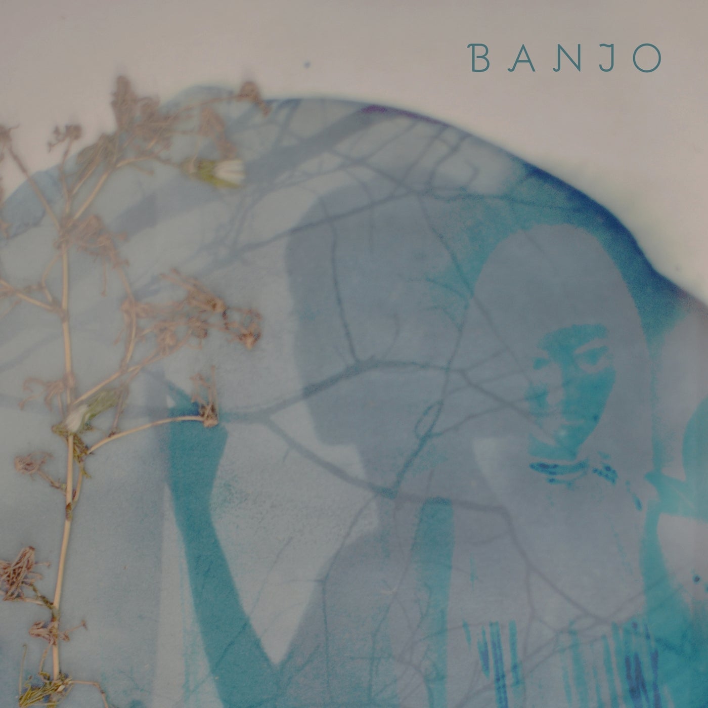 Banjo