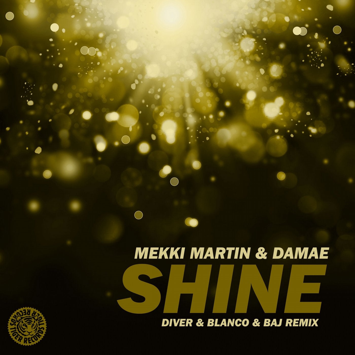 Shine (Diver & Blanco & BAJ Remix)