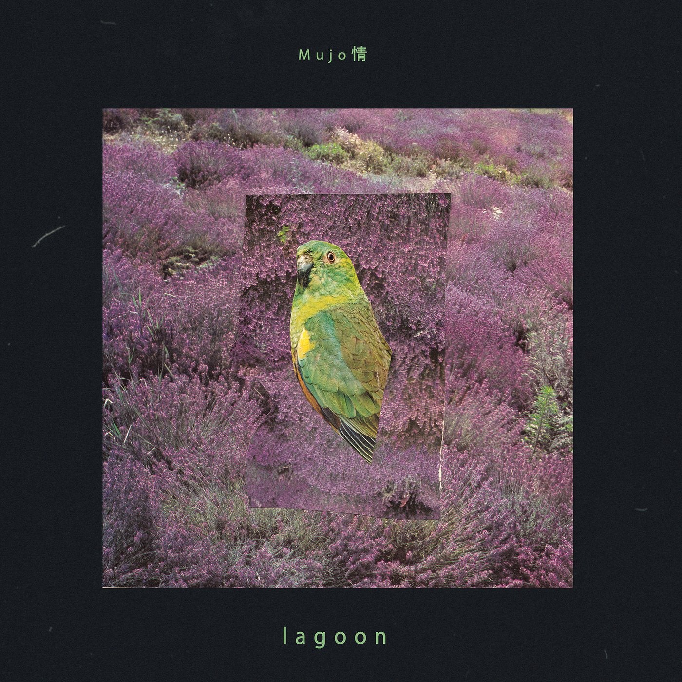 Lagoon