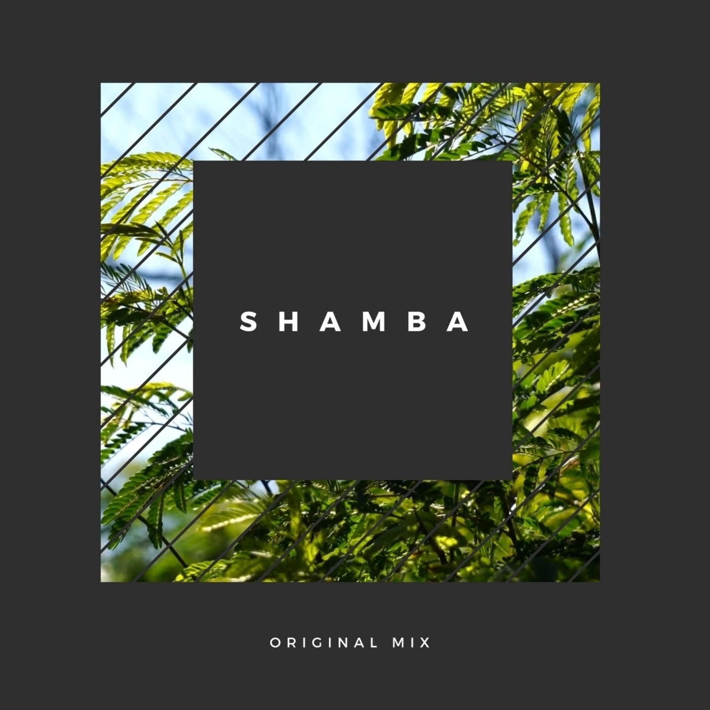 Shamba