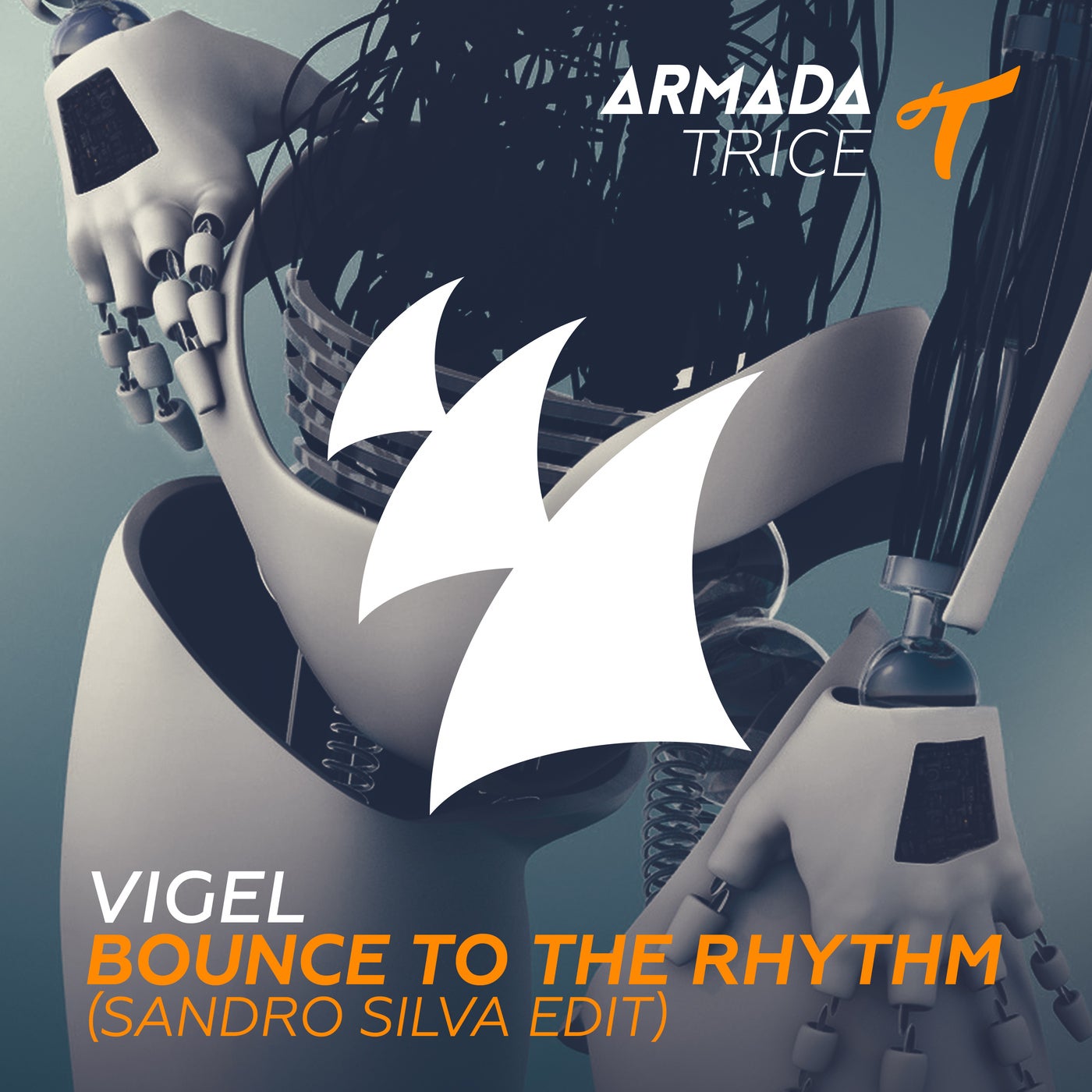 Bounce To The Rhythm - Sandro Silva Edit