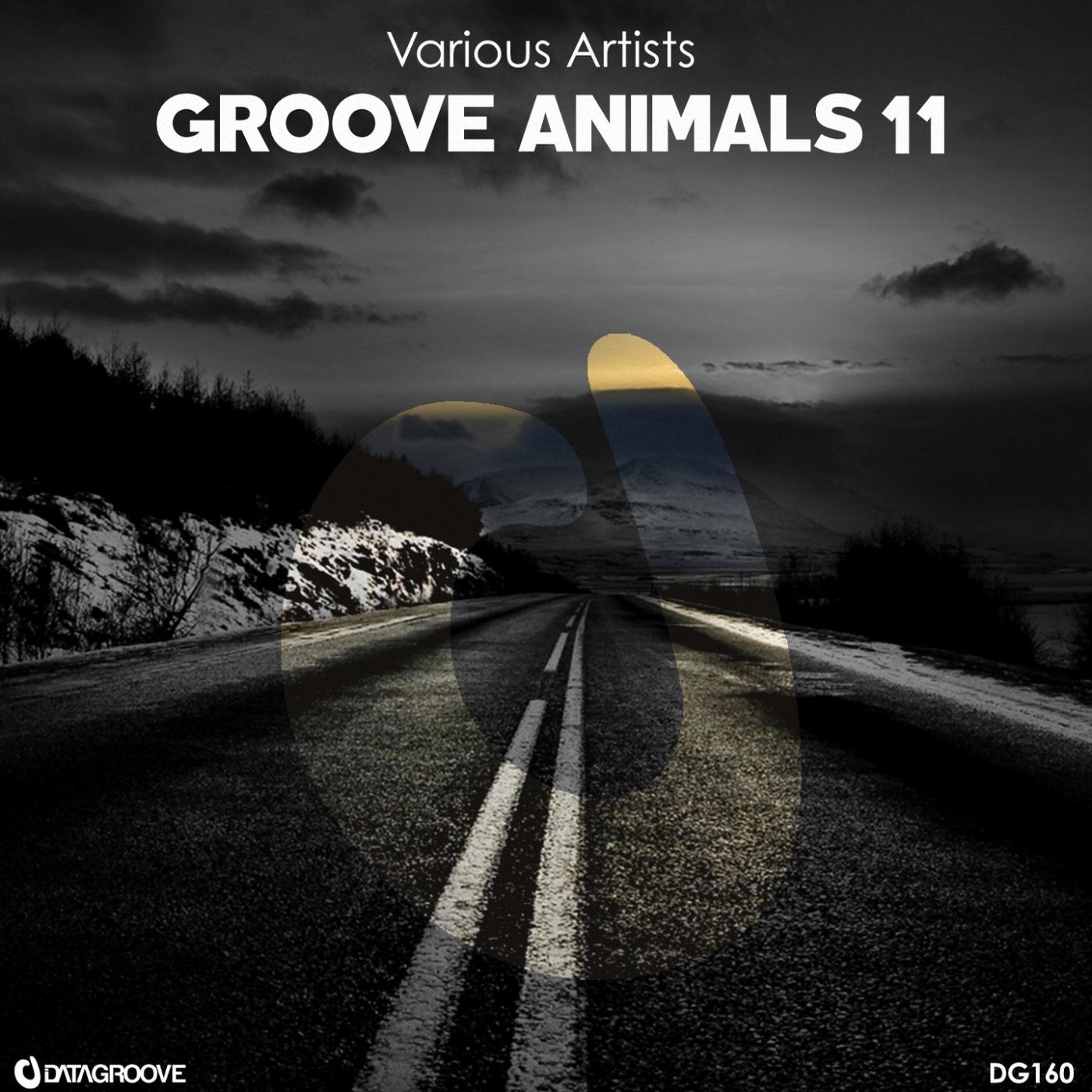 Groove Animals 11
