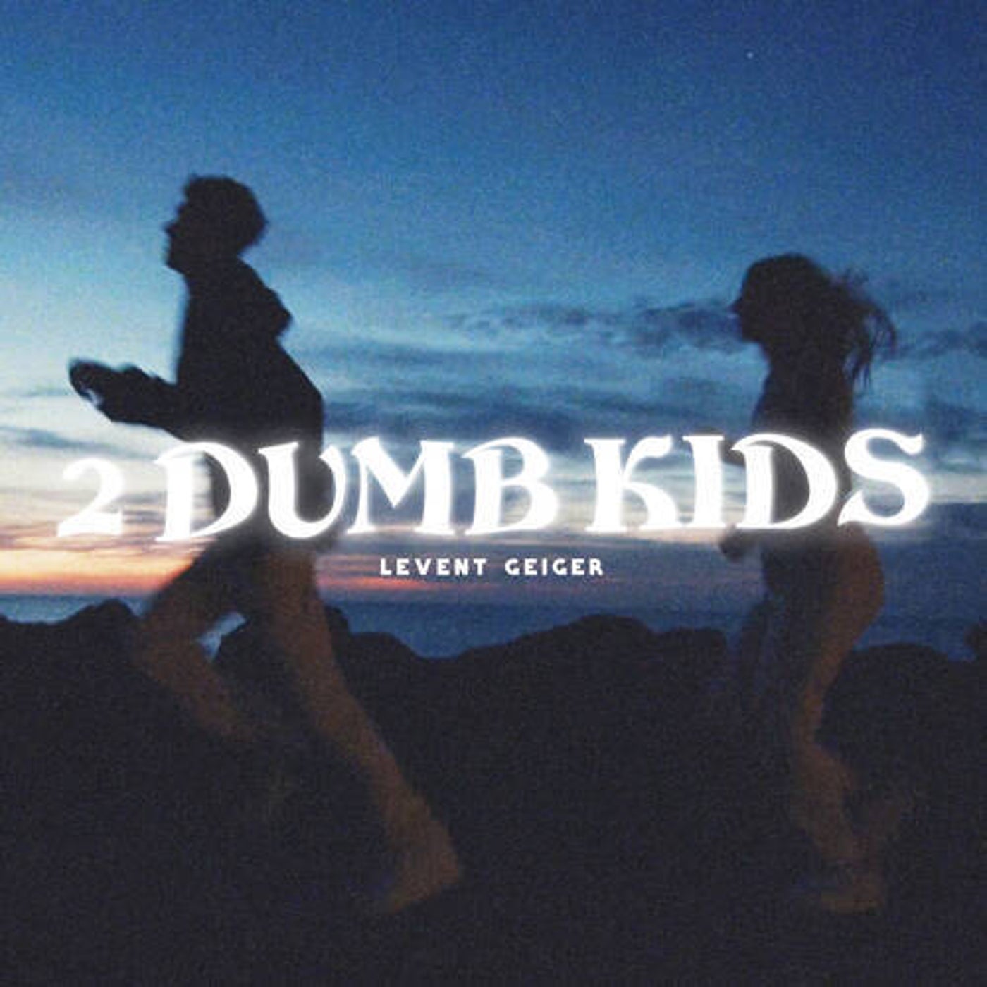 Cover art for 2 Dumb Kids