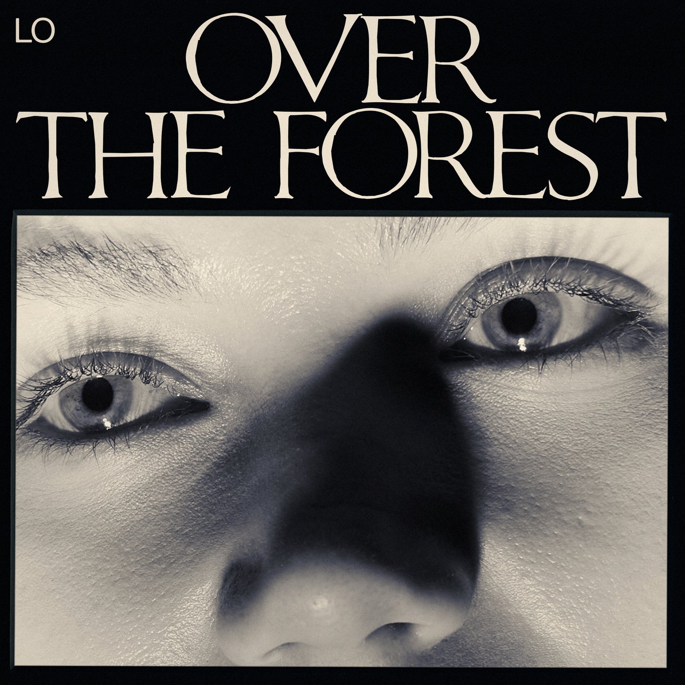 Over the Forest