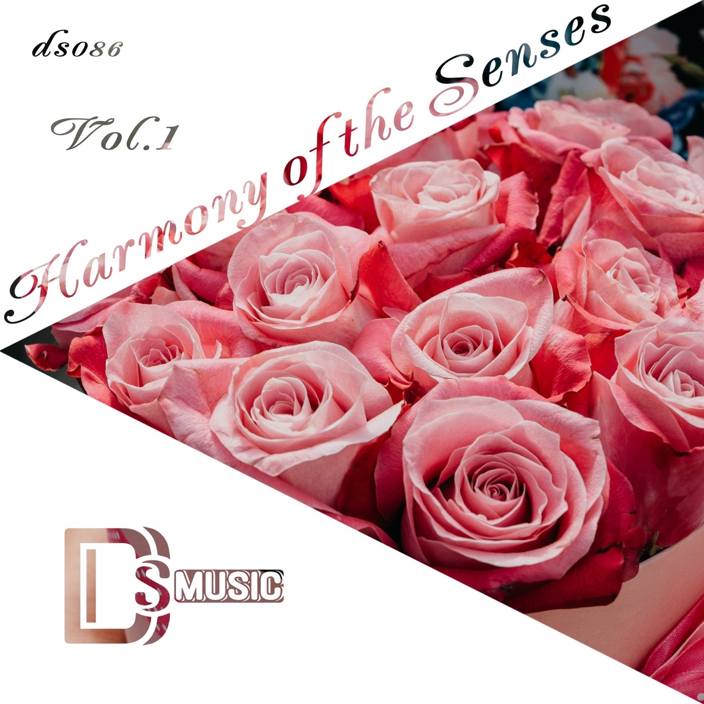 Harmony of the Senses, Vol.1