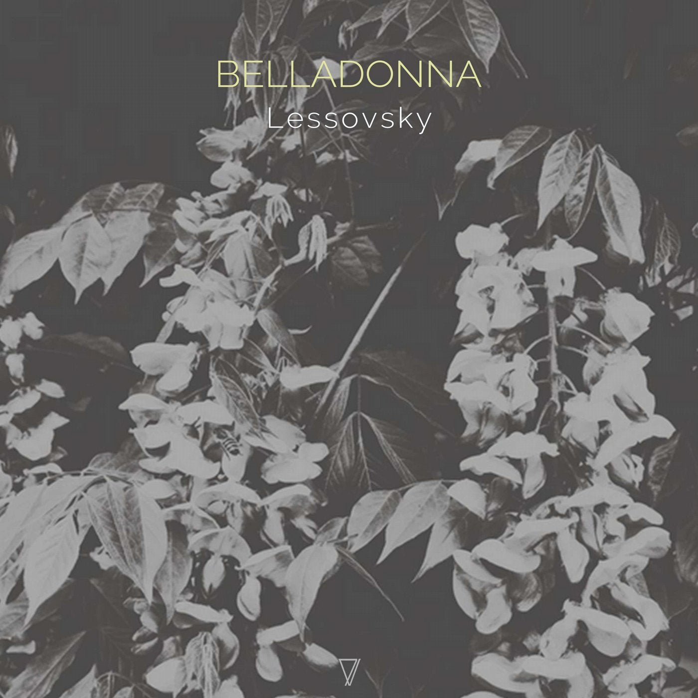 Belladonna