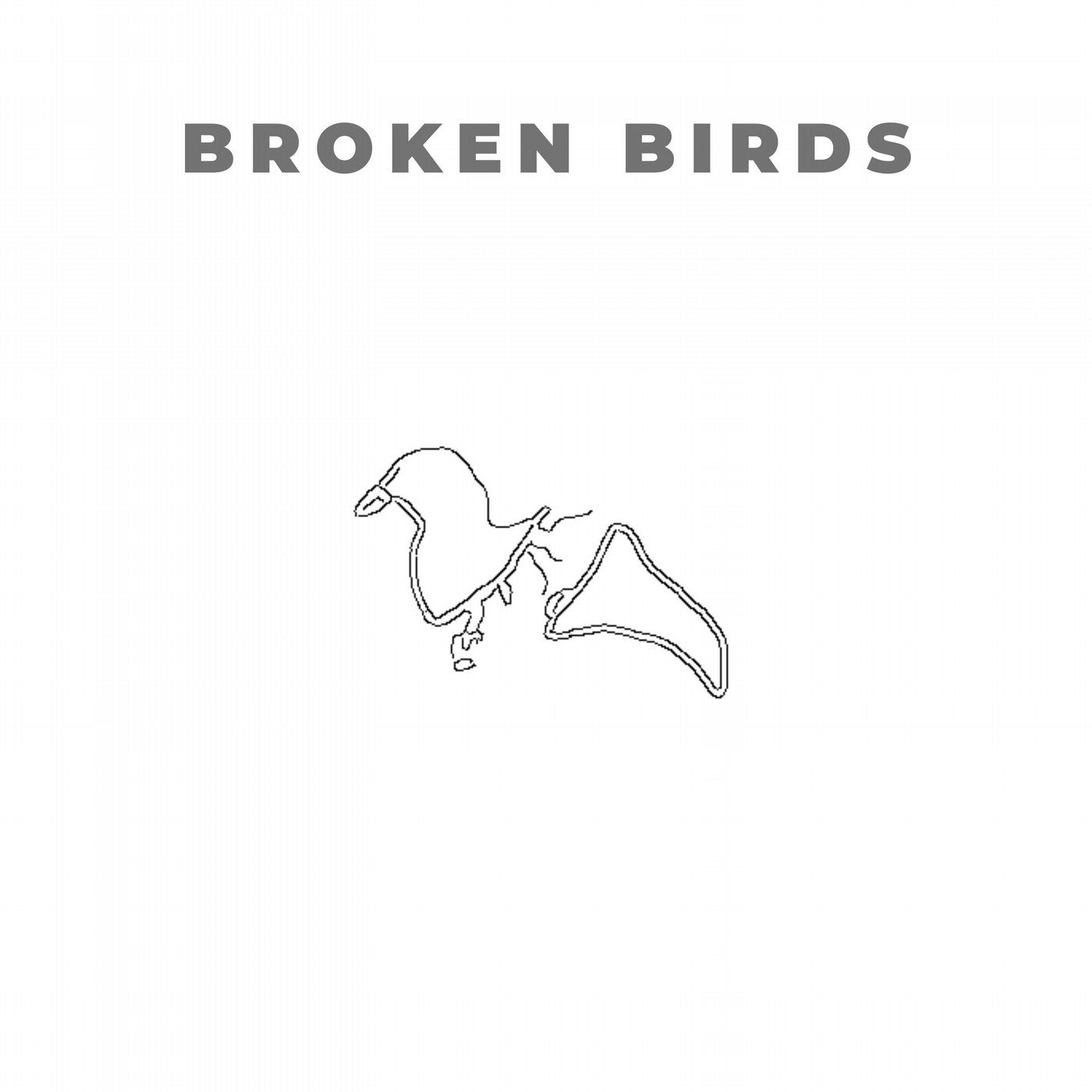 Broken Birds